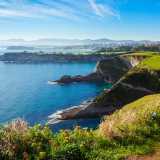 Alberto  I. avatar icon