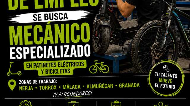 Mecánico/a