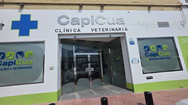Estilista Peluquera/o Canino
