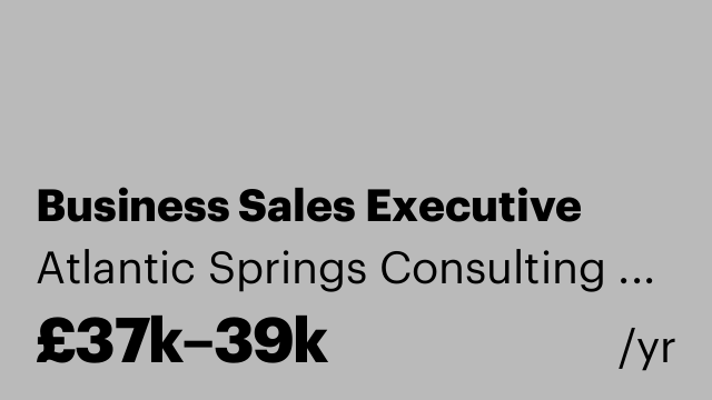 Business Sales Executive
