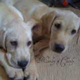 GIOVANNY P. avatar icon