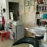 Javier S. avatar icon