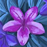 avatar icon