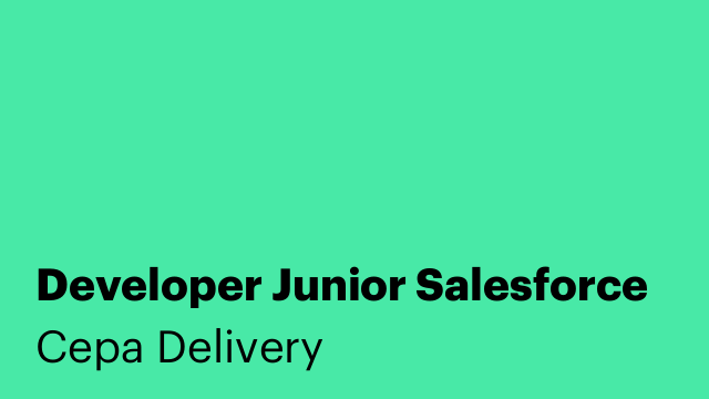 Developer Junior Salesforce