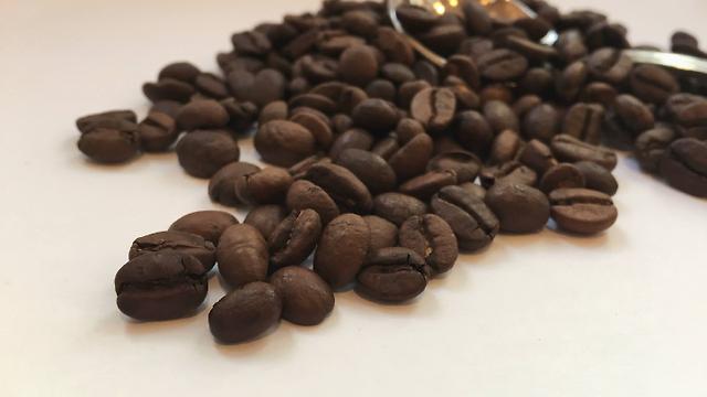 Barista