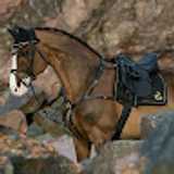 Ruuthy12 muñoz cuenca avatar icon