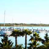 Manuel D. avatar icon