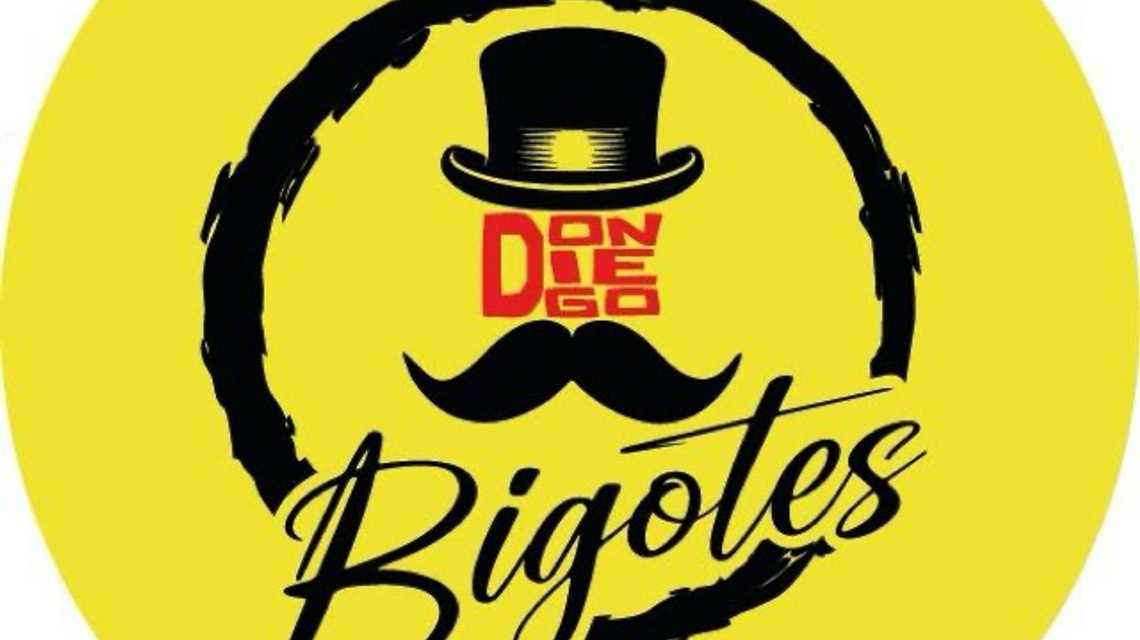 DON DIEGO BIGOTES  cover image