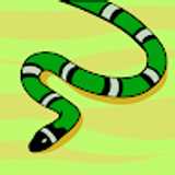 avatar icon