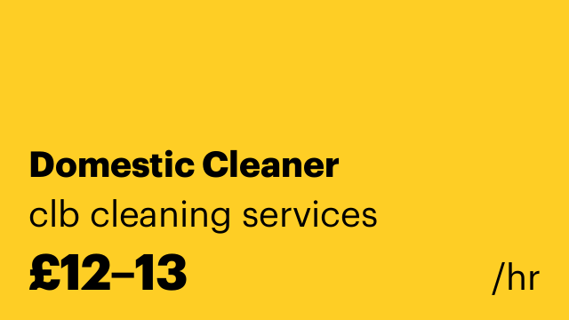 Domestic Cleaner