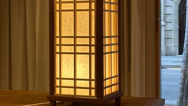 Ayudante de cocina y friegaplatos