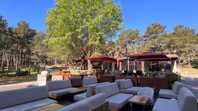 Ayudante/a de Limpieza y Friegaplatos