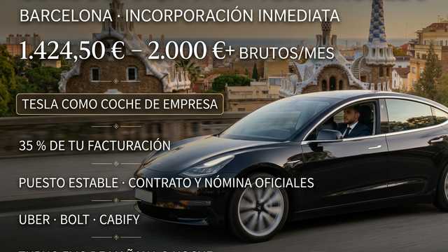 Conductor/a VTC – Tesla Model 3