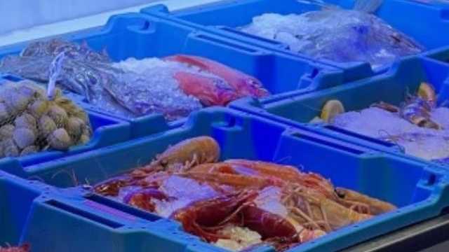 Cocinero/a