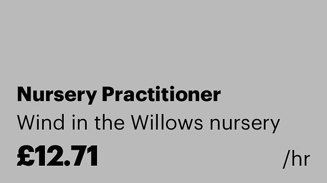 Nursery Practitioner
