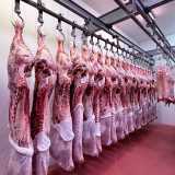 José Luis  B. avatar icon