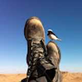 Alvaro M. avatar icon