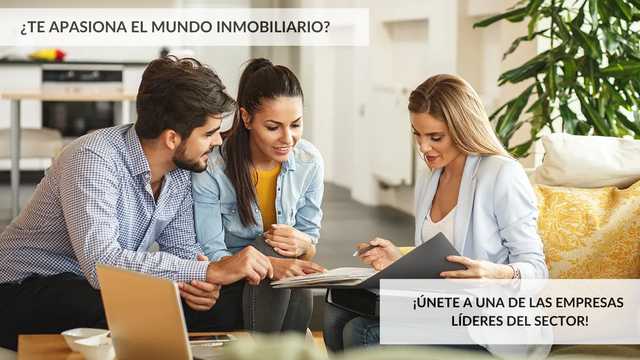 Asesor/a Inmobiliario