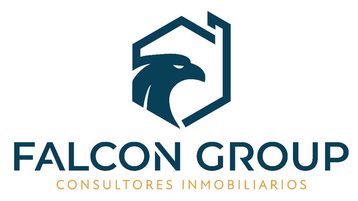 FALCON GROUP GELTRÚ cover image