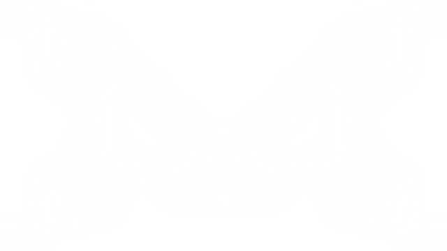 chofer vehiculo particular y además sepa hacer manualidades