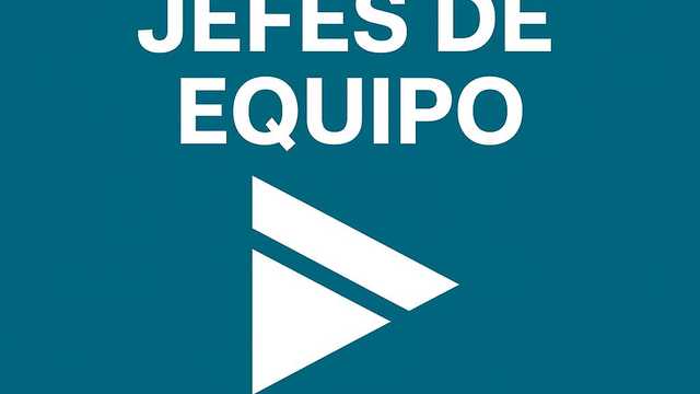 Jefe/a de Equipo