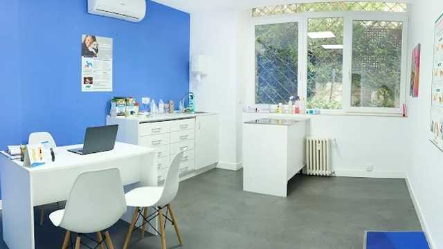 Veterinario/a