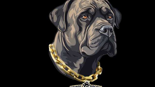 Ayudante/a de Almacén