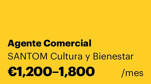 Agente Comercial