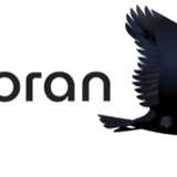 Amadores de Paguera logo