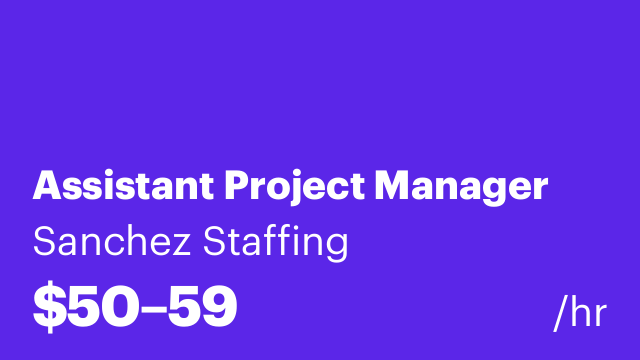 Assistant Project Manager