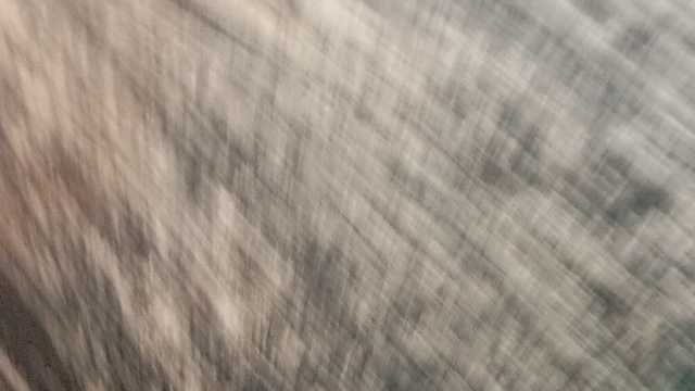 Ayudante de Cocinero/a