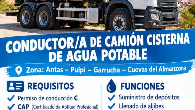 Conductor/a