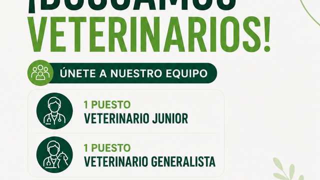 Veterinario/a