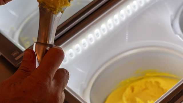 Heladería, obrador y mostrador