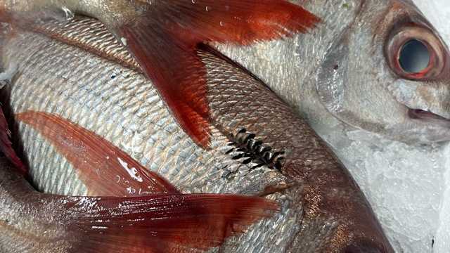 Ayudante/a Pescadería