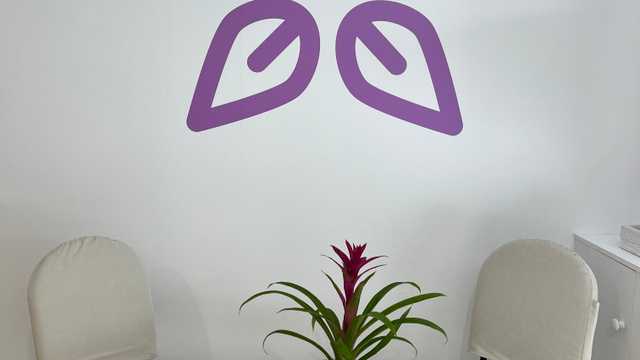 Ayudante/a de Estética