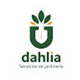 Dahlia J. avatar icon