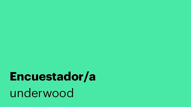 Encuestador/a