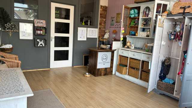 Dog Grooming Assistant