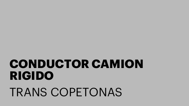 CONDUCTOR CAMION RIGIDO