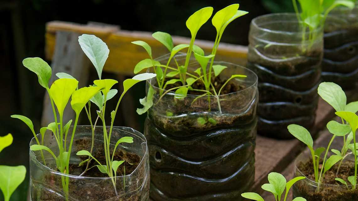 sm sistemas medioambientales cover image