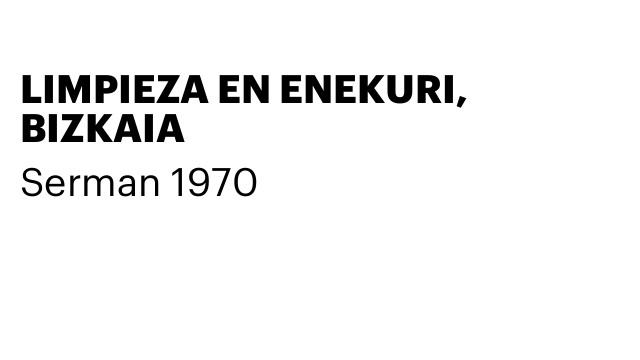 LIMPIEZA EN ENEKURI, BIZKAIA