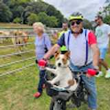 pablo P. avatar icon