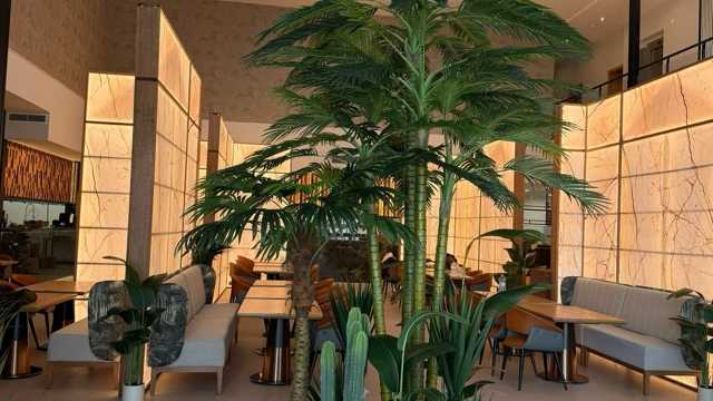 Cocinero/a Planchista