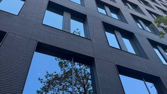 Recepción Hostel ( Carnet de conducir )