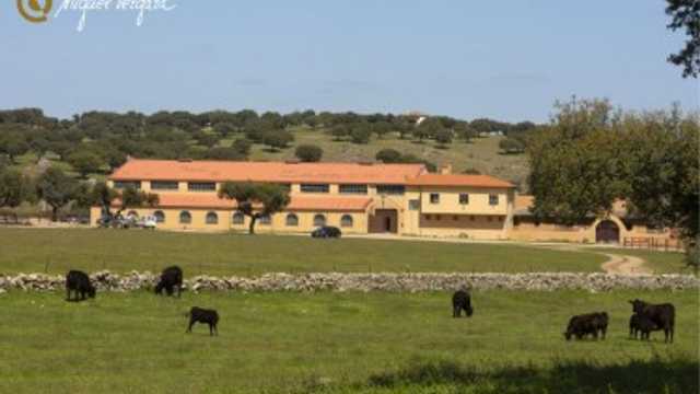 Operario/a para Finca Ganadera - Salamanca