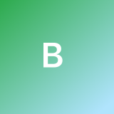 Bruno G. avatar icon