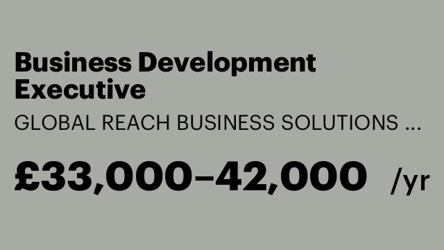 Business Development Executive