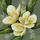 Anna Jelena A. avatar icon