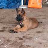 Diego M. avatar icon